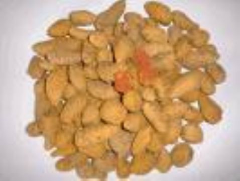 Curcuma Extract